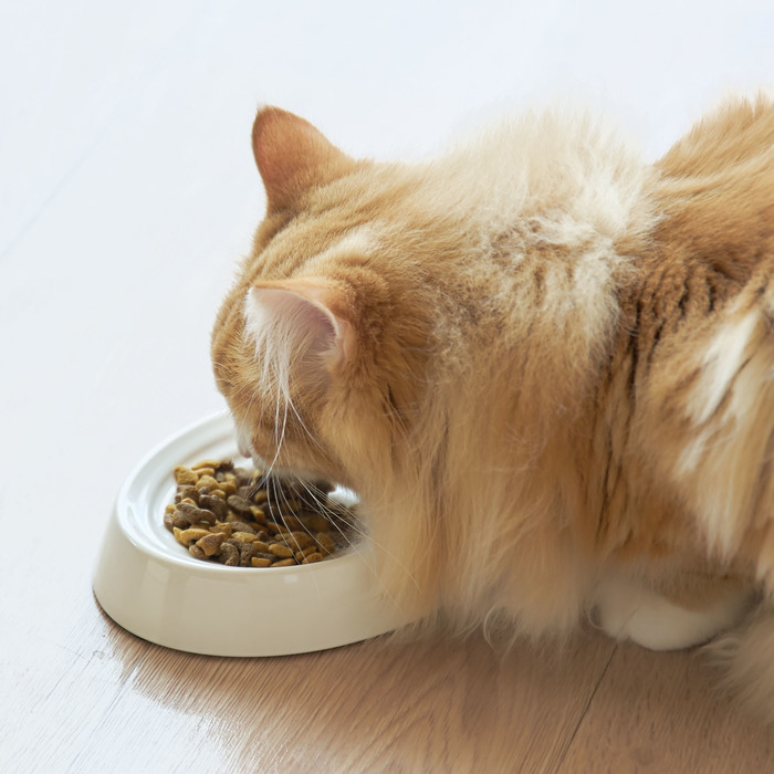 猫のヒゲが当たらない幅がベスト