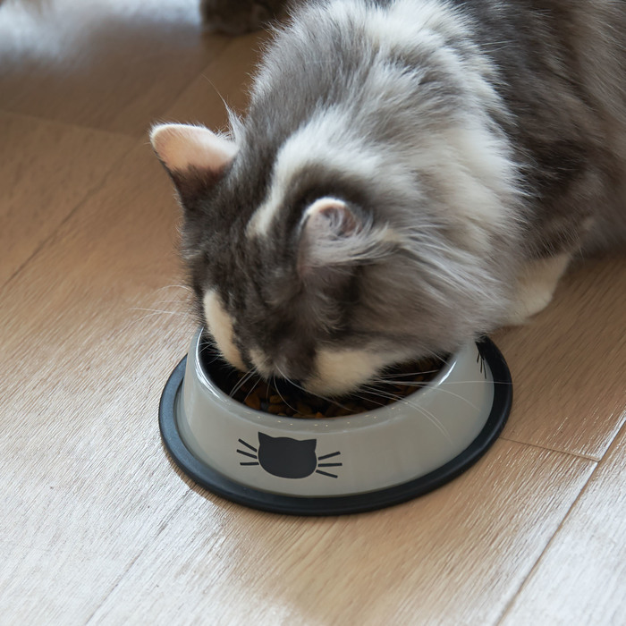 ②安定性があるものを選ぶ