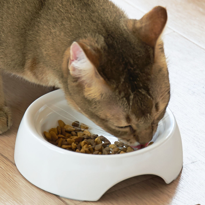 食べこぼし防止には「そり返し」や「二段構造」のものを