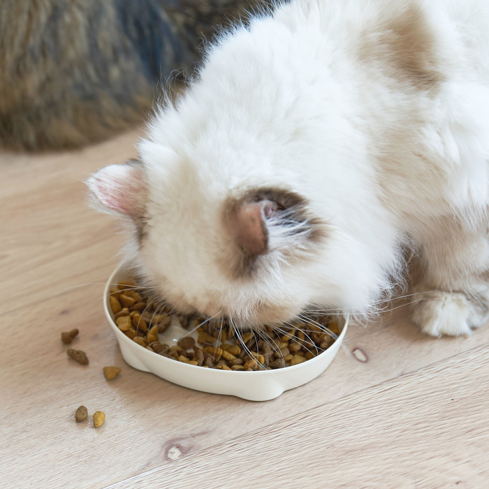 口や歯への刺激が少ない「プラスチック製」