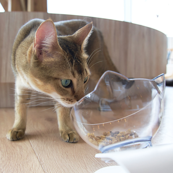 検証①:食べやすい形状かどうか