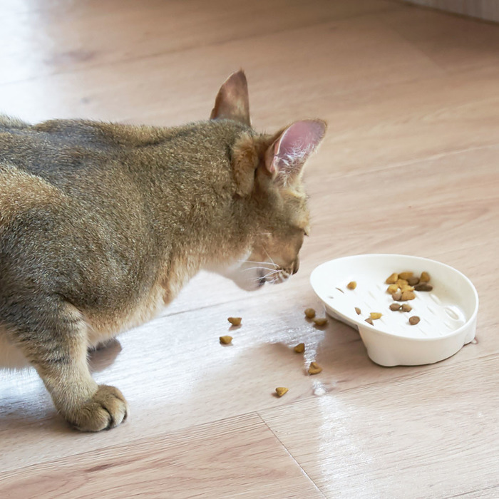 床で食べていたら食器を見直そう