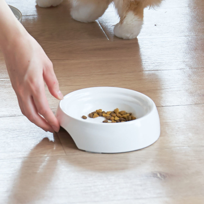 食べ残したフードはキチンと片付けよう