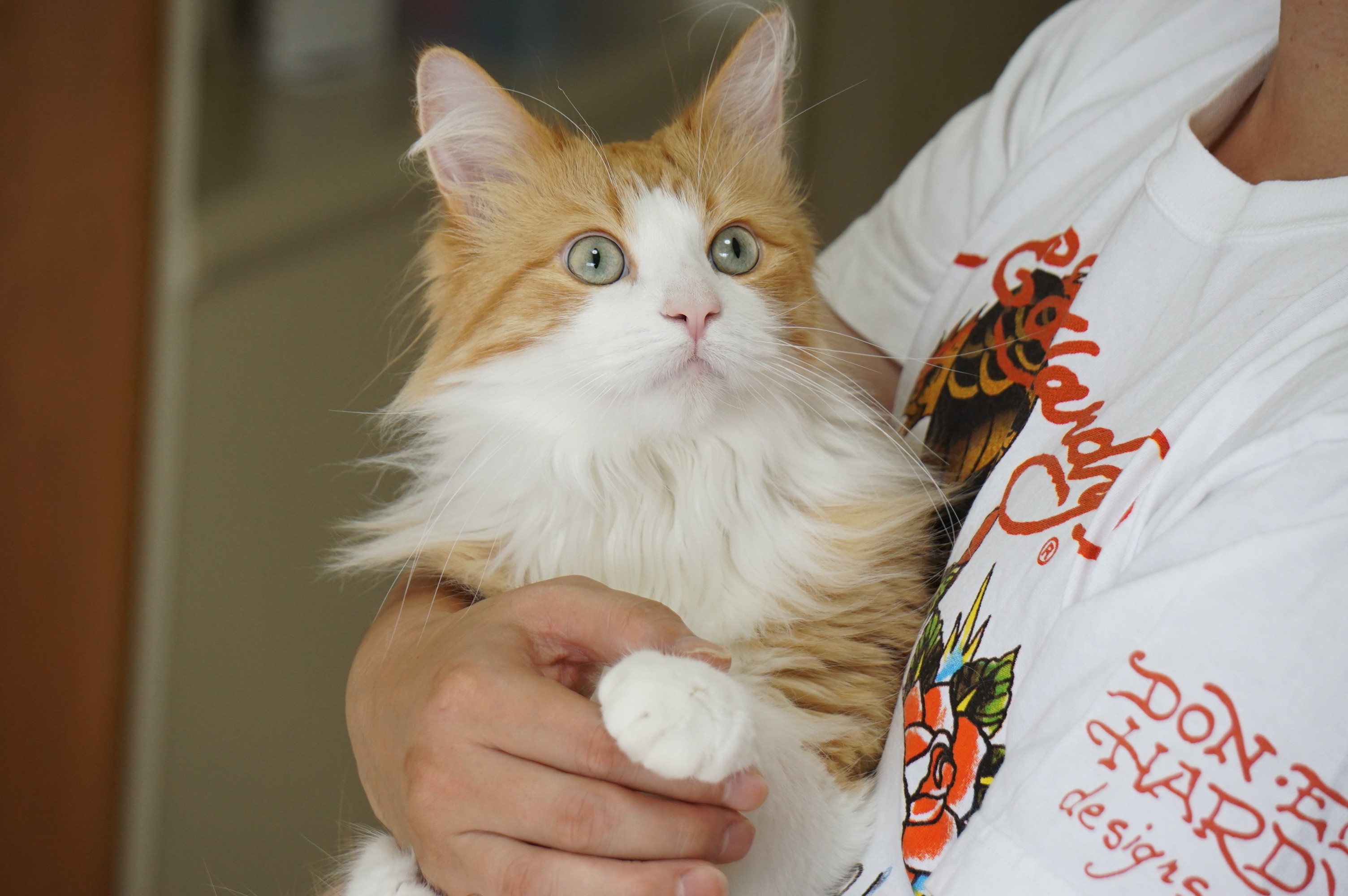 オスカー様としもべ達